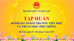 2025 01  Backdrop HN Tập huấn ĐGN 2024 QLCL
